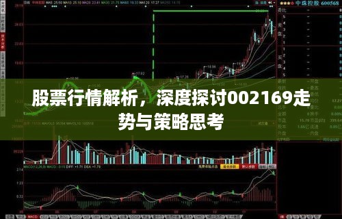 股票行情解析，深度探讨002169走势与策略思考
