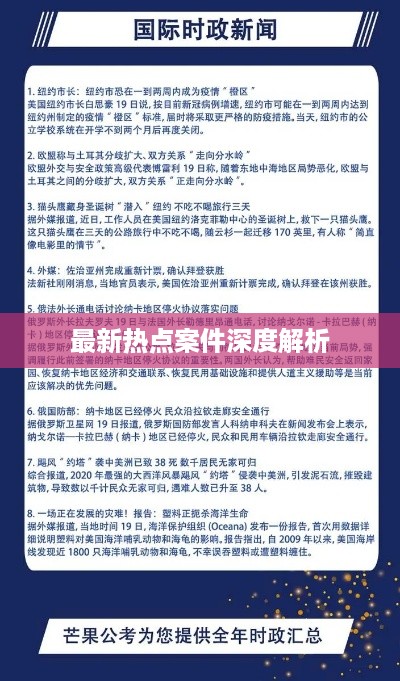 最新热点案件深度解析