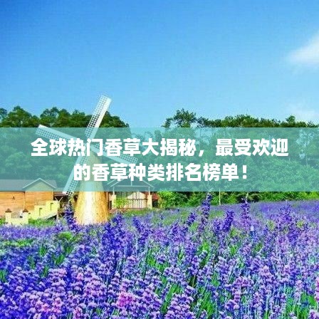 全球热门香草大揭秘，最受欢迎的香草种类排名榜单！