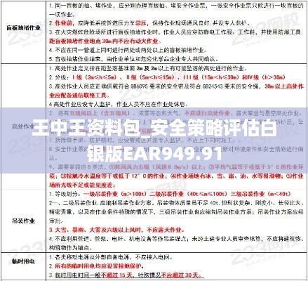 王中王资料包_安全策略评估白银版ear949.91
