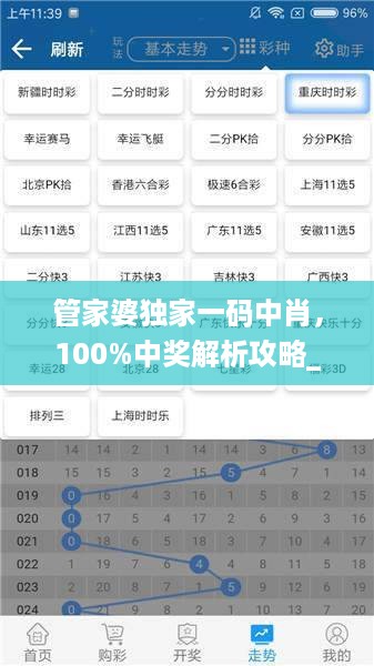 管家婆独家一码中肖，100%中奖解析攻略_创业板msh175.75
